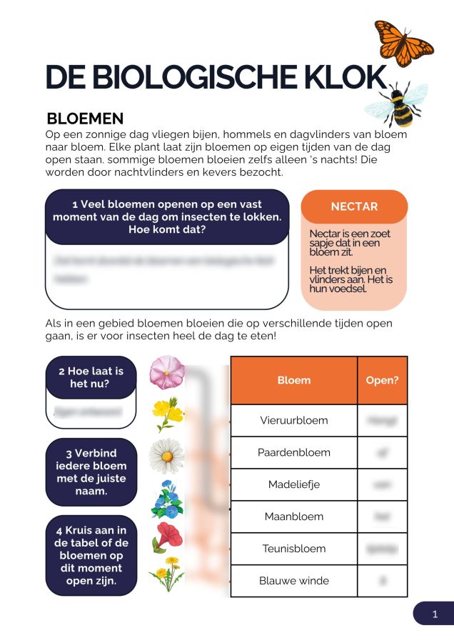 Afbeelding antwoordmodel bioklok schooltuintjes