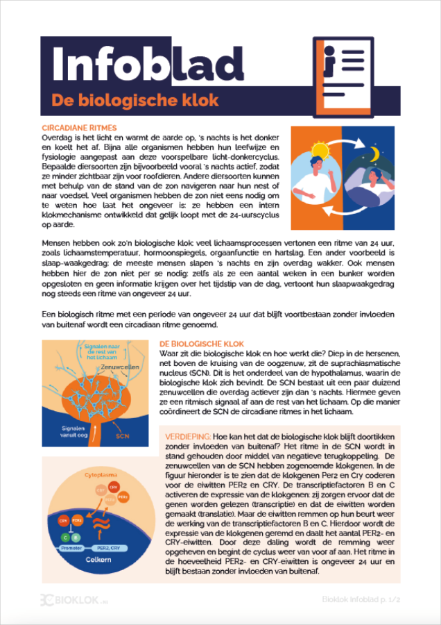 Infoblad De Biologische Klok