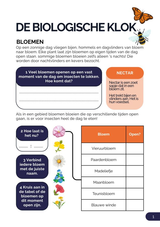 Afbeelding opdrachtenblad bioklok schooltuintjes
